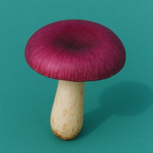 Velvet Plumcap